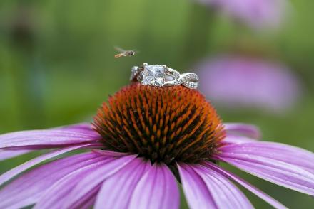 awesome ring shot wv